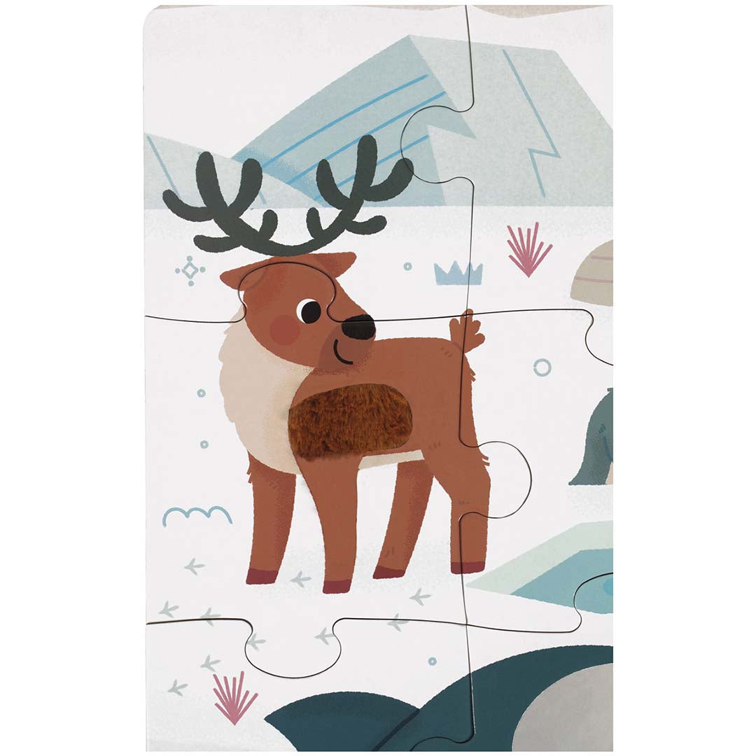 janod voelpuzzel - noordpool - 20st | 11.2493 | 4