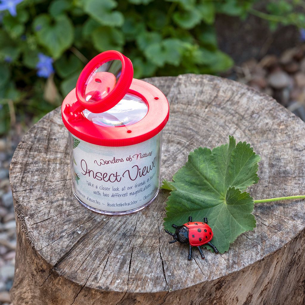 rex london insectendoosje met vergrootglas wonders of nature