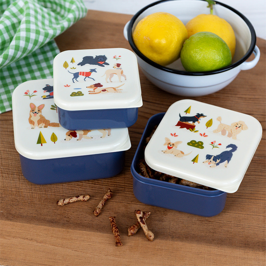 rex london snackdoosjes dog park - 3st | REX31951 | 3