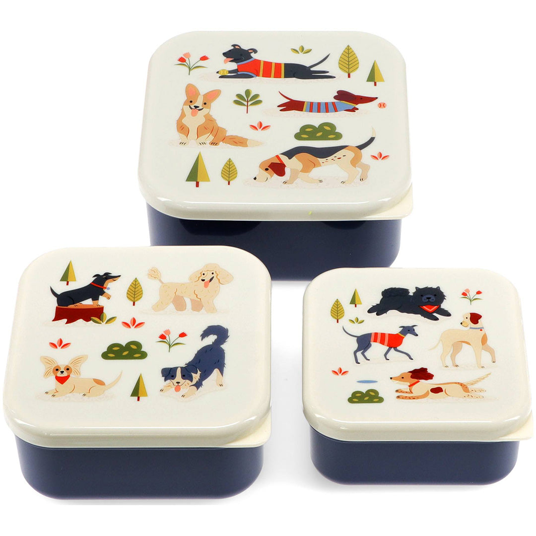 rex london snackdoosjes dog park - 3st | REX31951 | 2