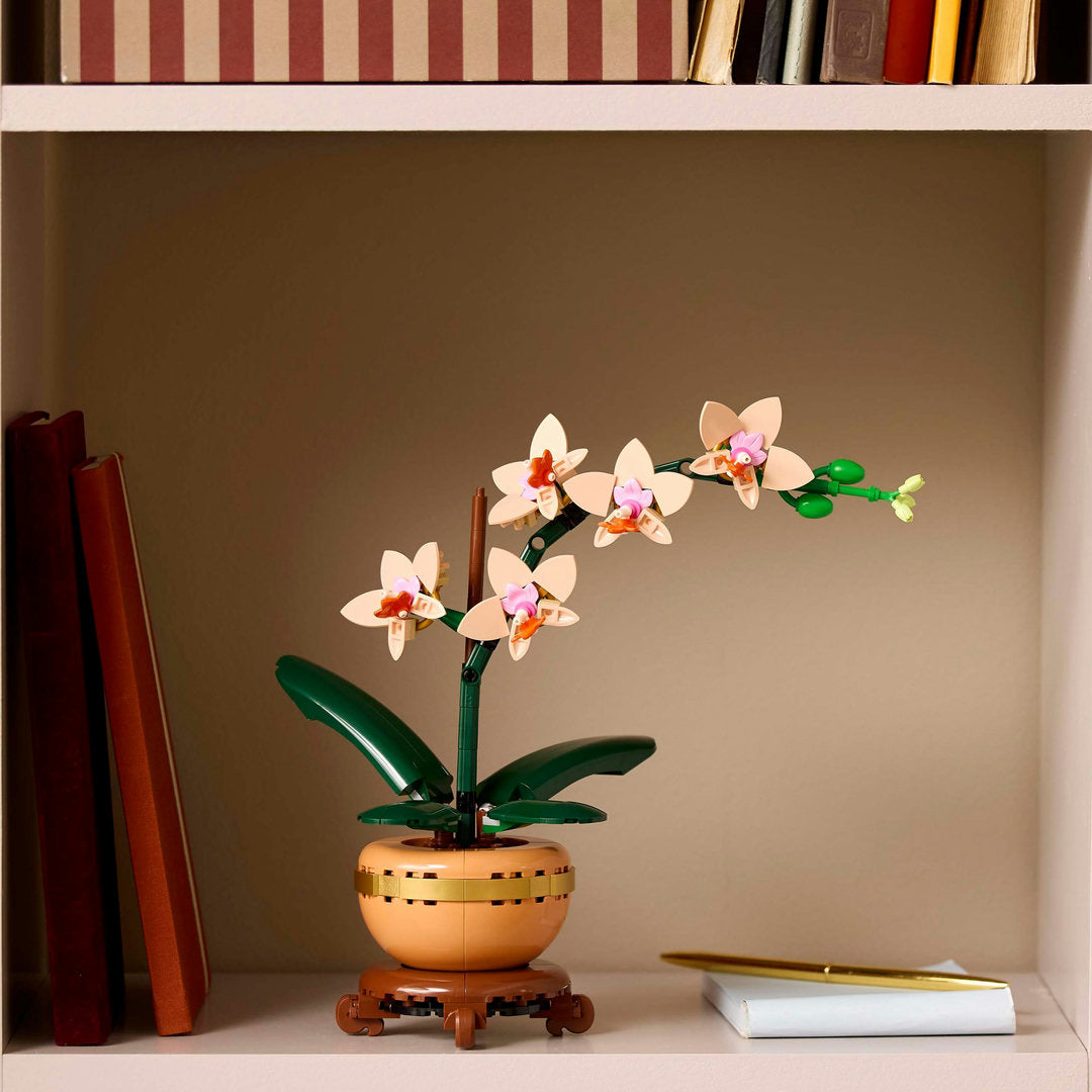 LEGO botanicals miniorchidee plantencadeau