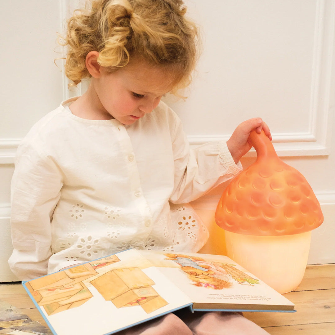 egmont toys heico lamp eikel rood baksteen | ET360100RB | 2