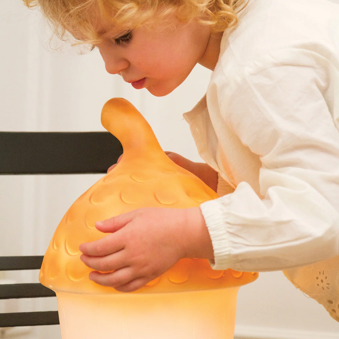 egmont toys heico lamp eikel terra | ET360100TE | 3