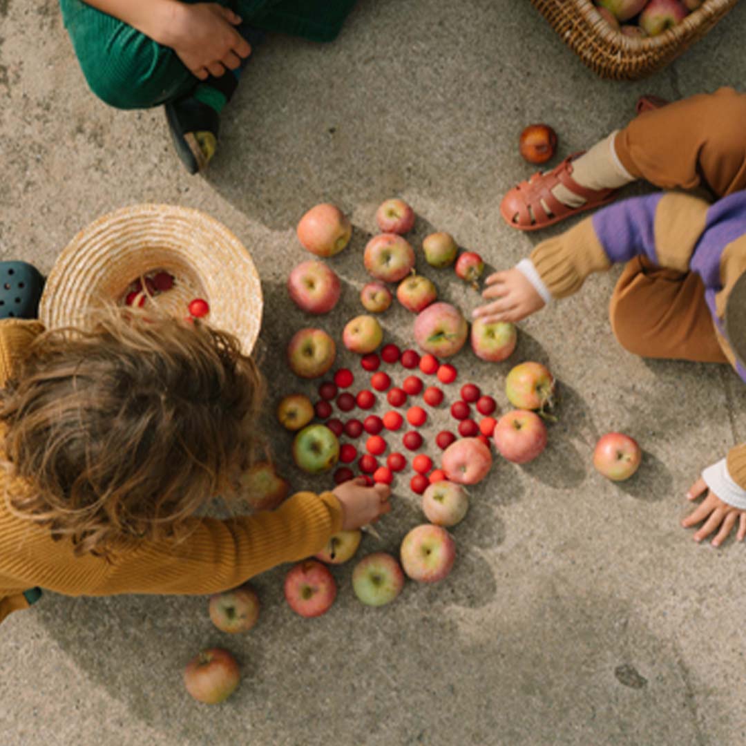 grapat halve bollen - 36st | 26-290 | 4