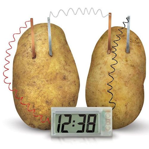 4m bouwset aardappelklok | 5603275 | 2