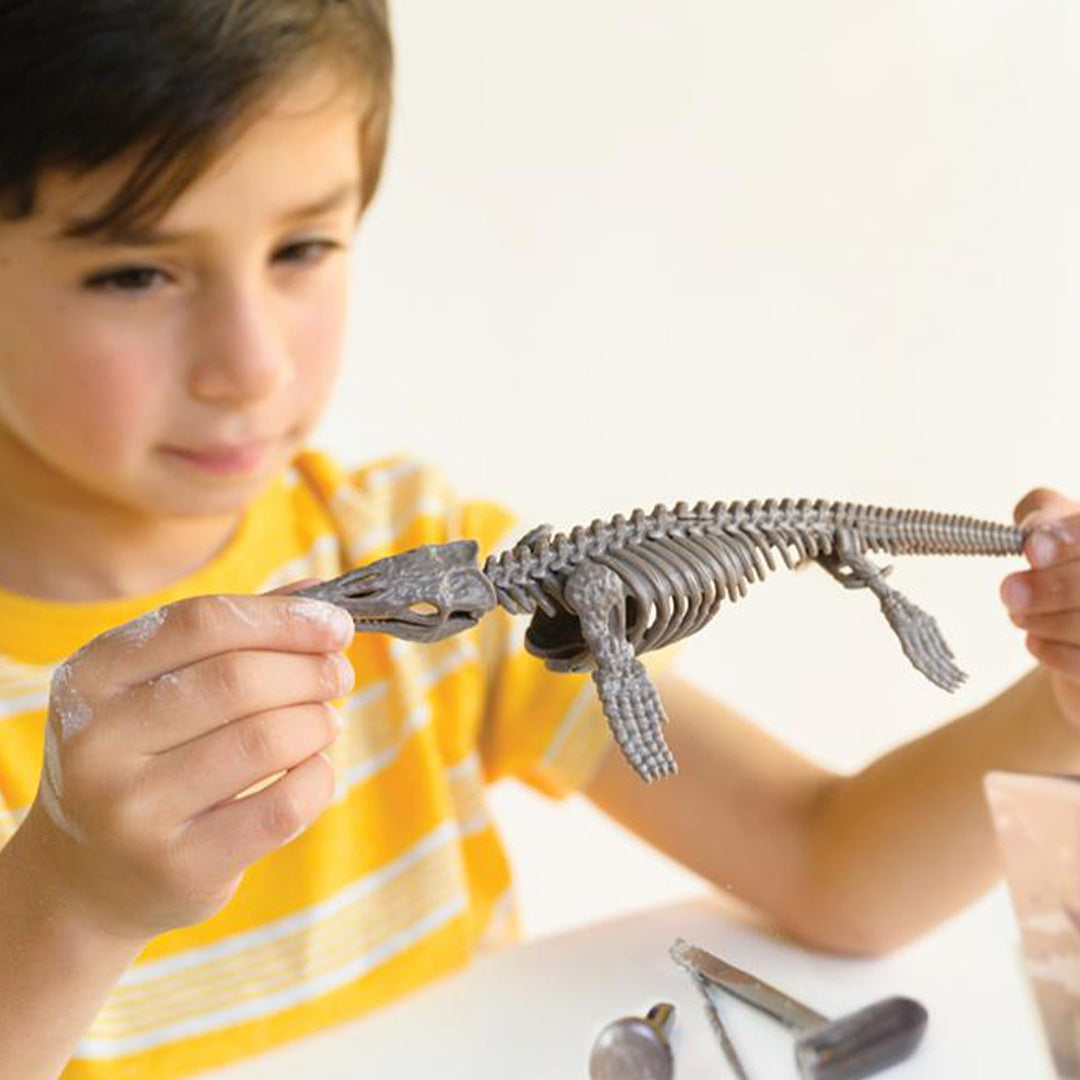 4m dinosaurus opgraven - mosasaurus | 5603457 | 5