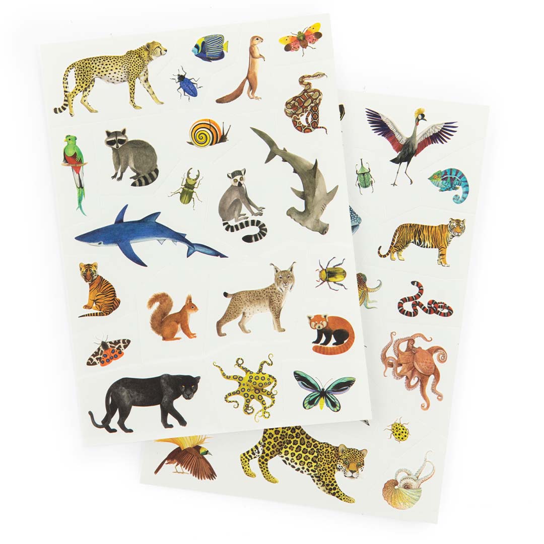 moulin roty tattoos tout autour du monde | 719190 | 2