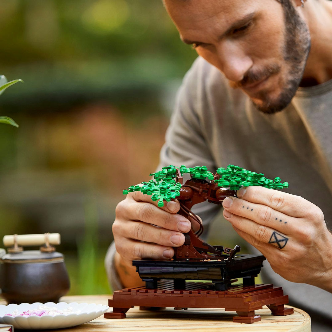 LEGO Botanicals Bonsaiboompje