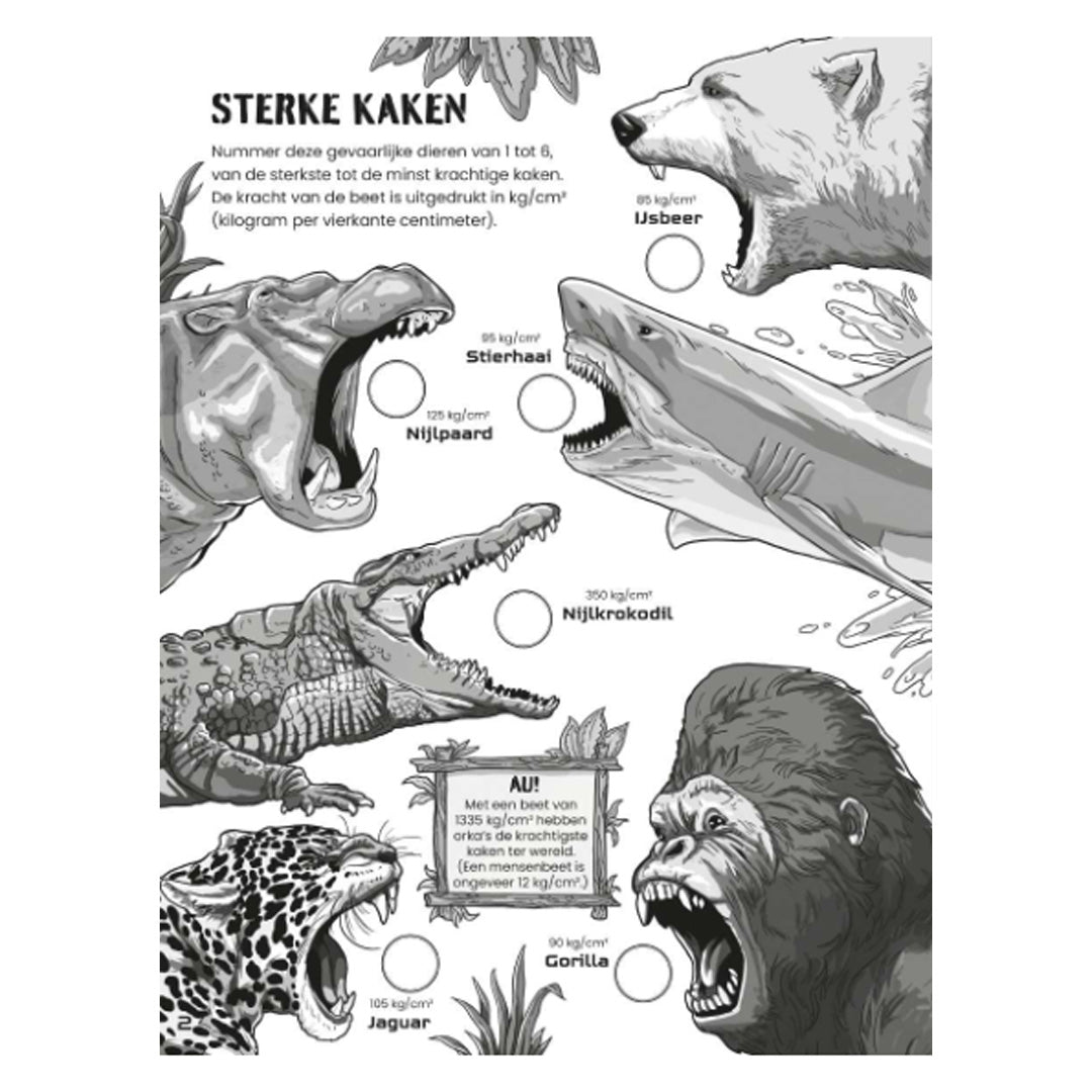 9781836061083_uitgeverij-usborne-puzzelboek-gevaarlijke-dieren_4