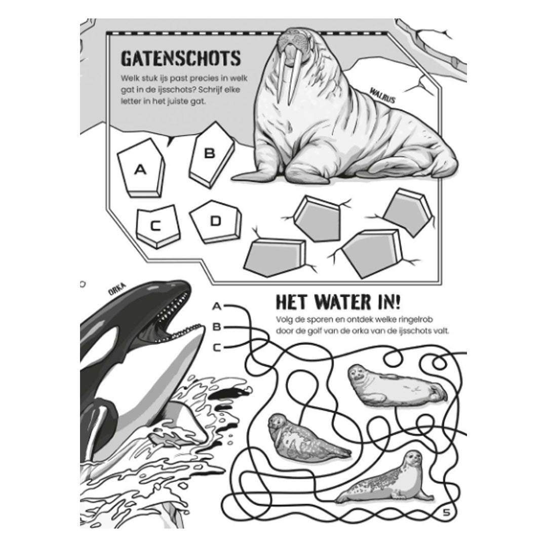 9781836061083_uitgeverij-usborne-puzzelboek-gevaarlijke-dieren_5