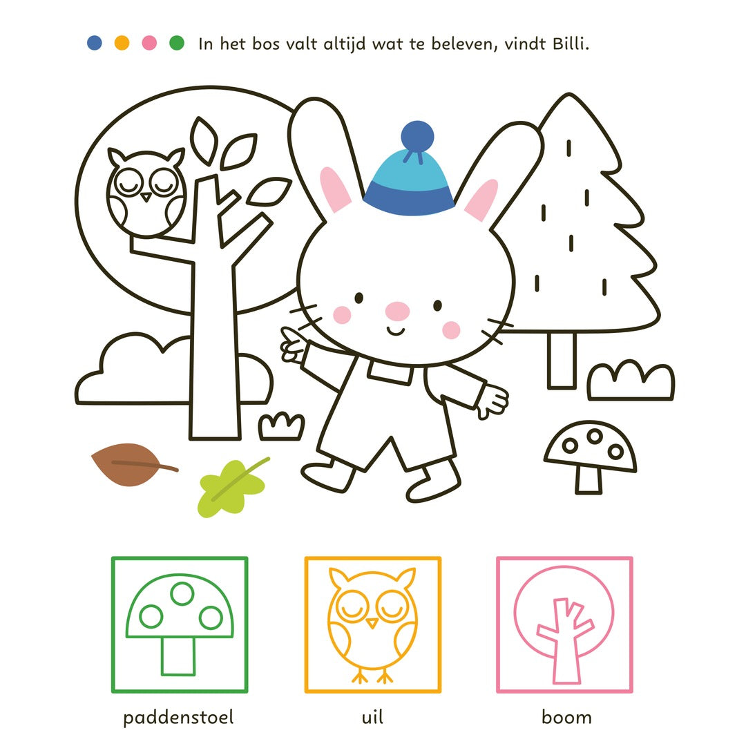 mijn allereerste stickerboek met woordjes - spelen en leren met billi