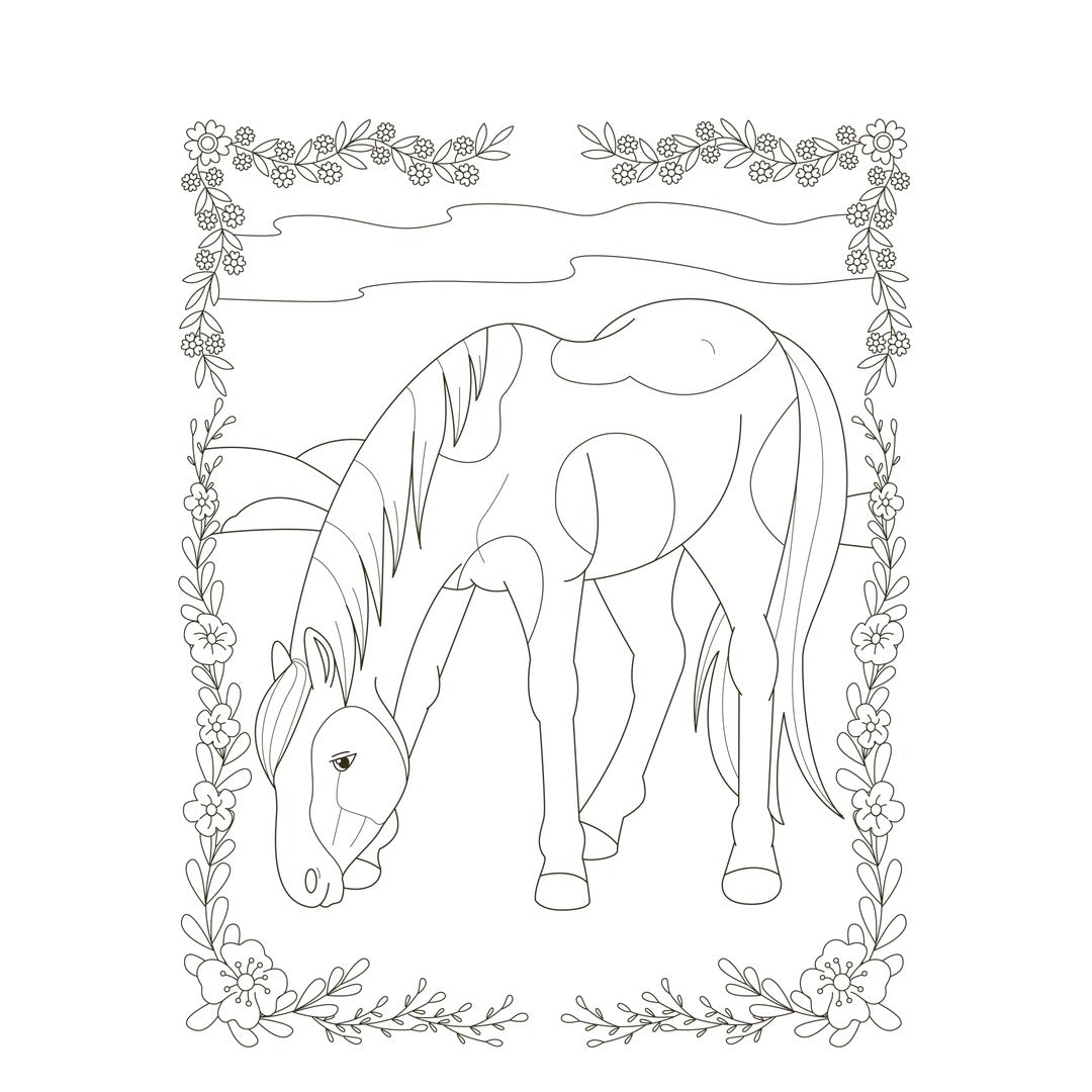 ik hou van paarden color kleurblok