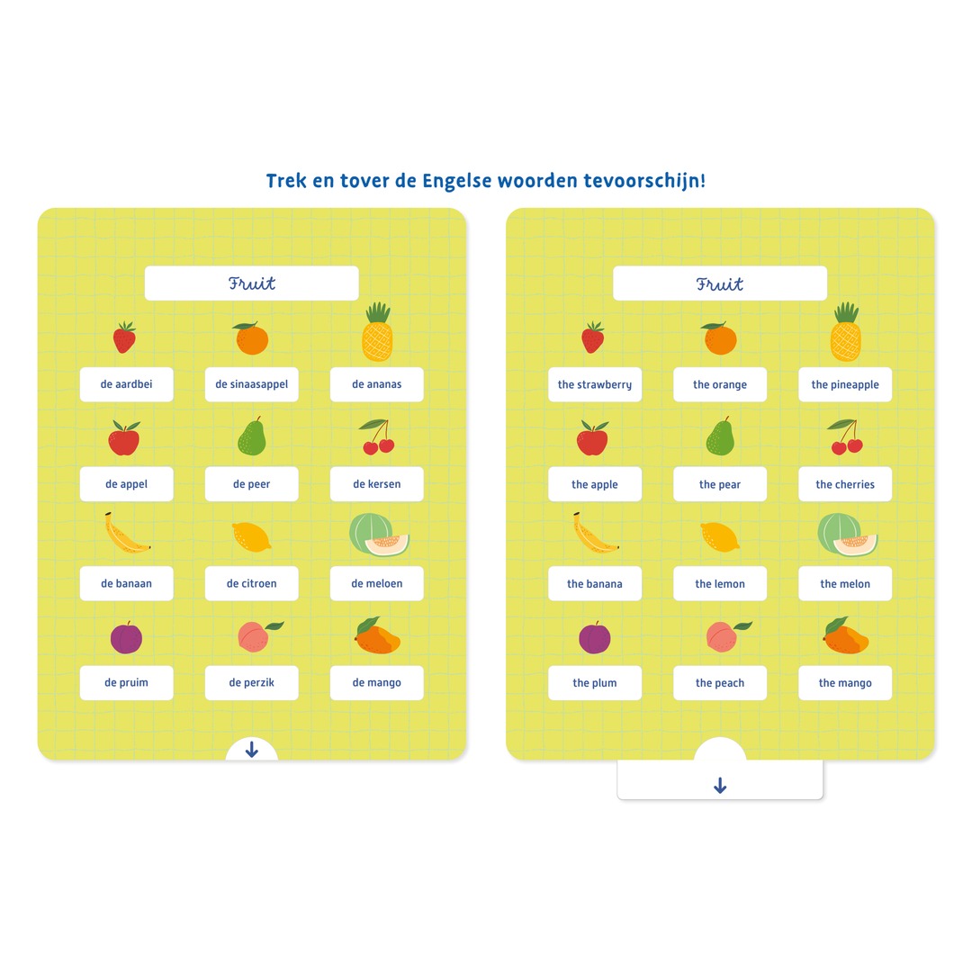 Deltas educatieve flashkaarten met illustraties van fruit om Engels te leren