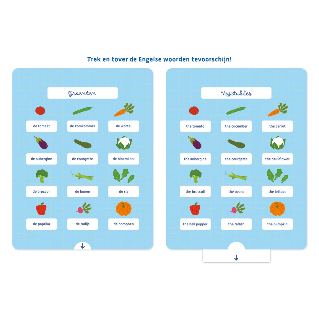 Deltas educatieve flashkaarten met illustraties van groenten voor de woordenschat