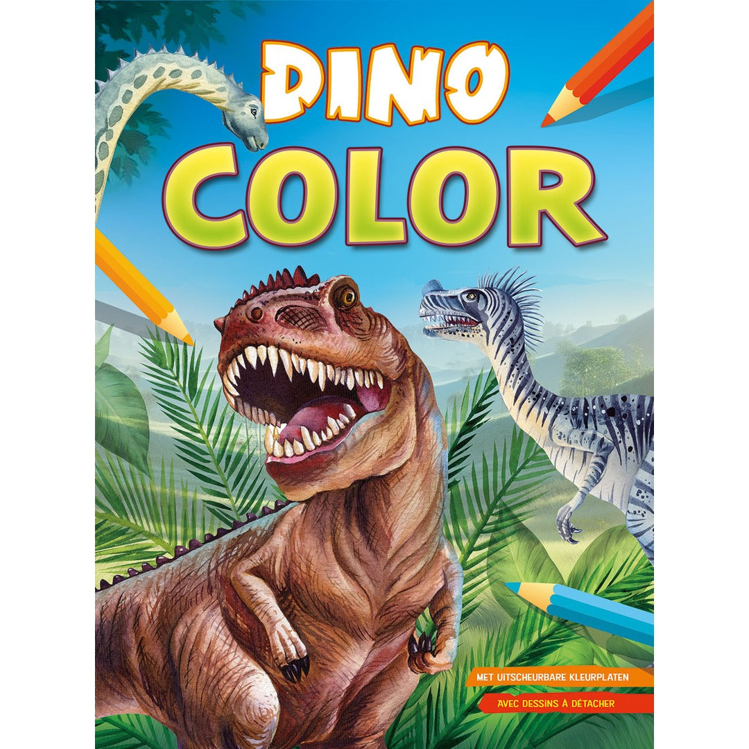 dino color kleurblok