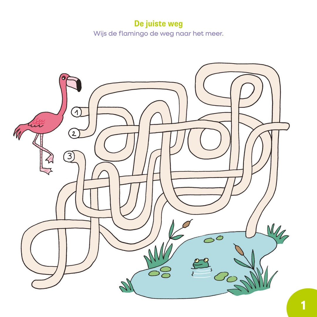 oefen je brein! leerrijke spelletjes 6-7 jaar