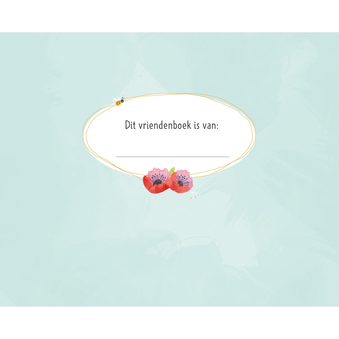 lieve prinsessen vriendenboek