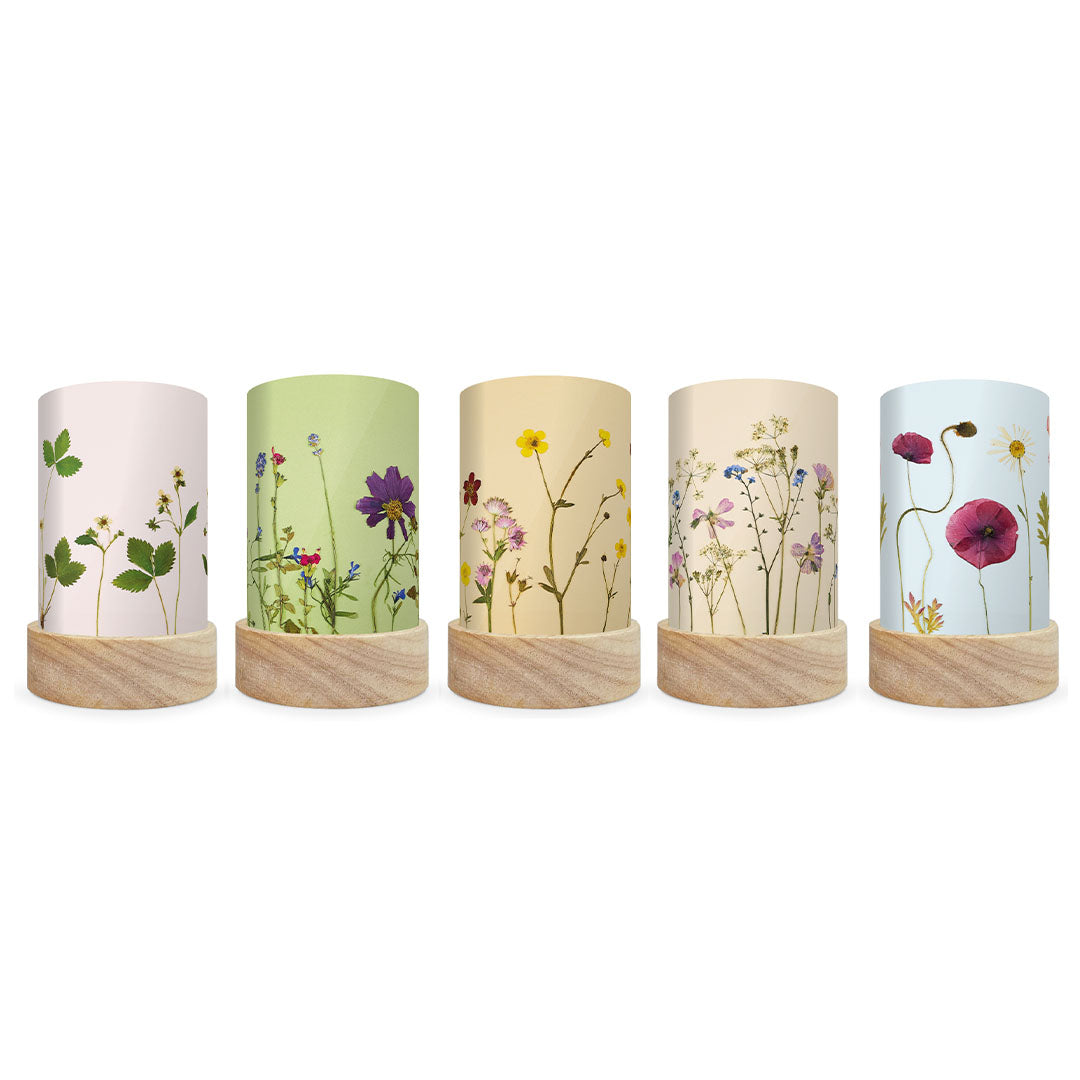 toverlux lichtkaarten voor lantaarn - droogbloemen - 5st | TS-SET-BK | 1