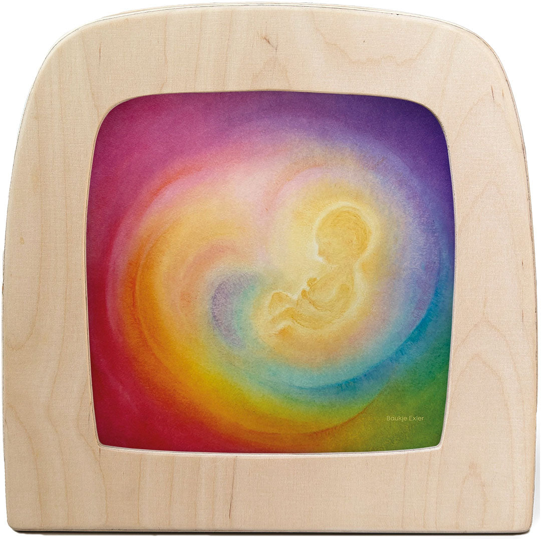 toverlux toverplaat voor toverlamp - womb | BA-SIL-WO | 