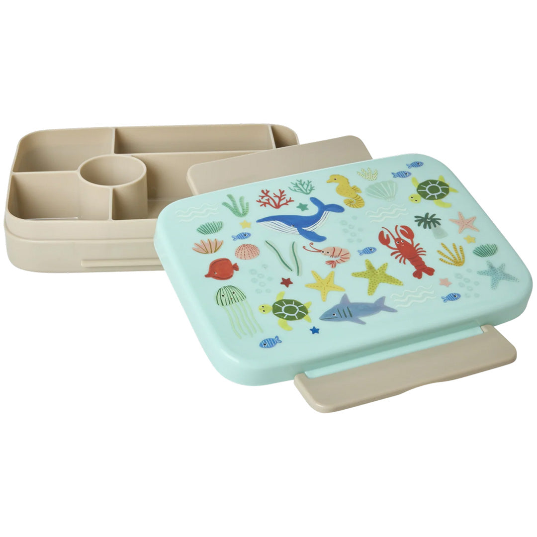 rice bento broodtrommel - blue ocean | BXLUN-OCEB | 3