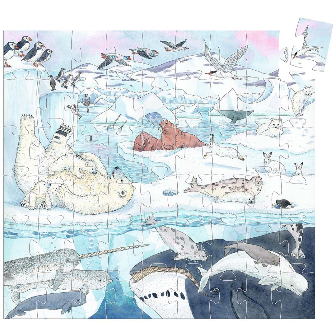 djeco puzzel zachte poolwereld - 54st | DJ07294 | 2