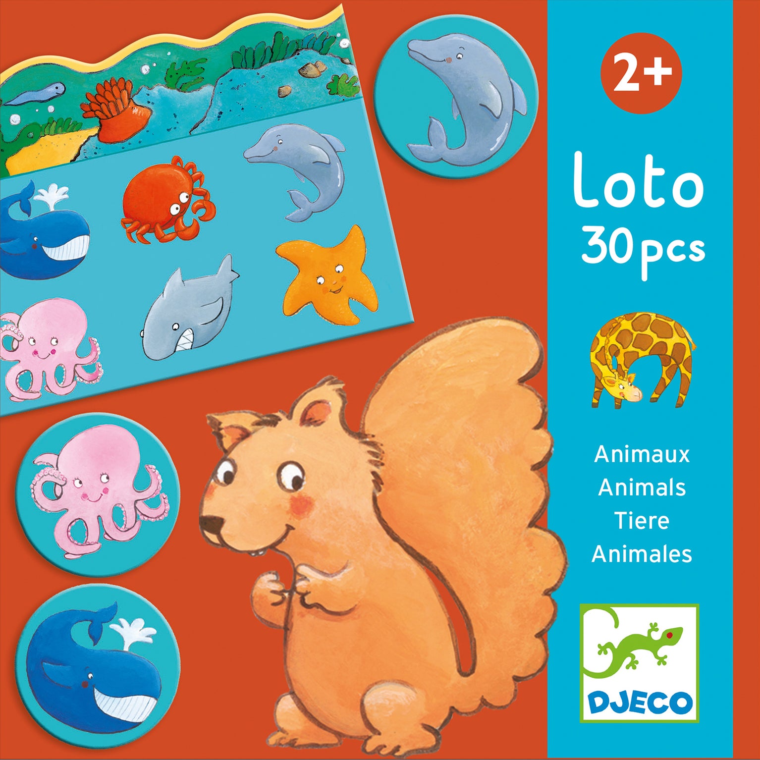 djeco bingospel dieren