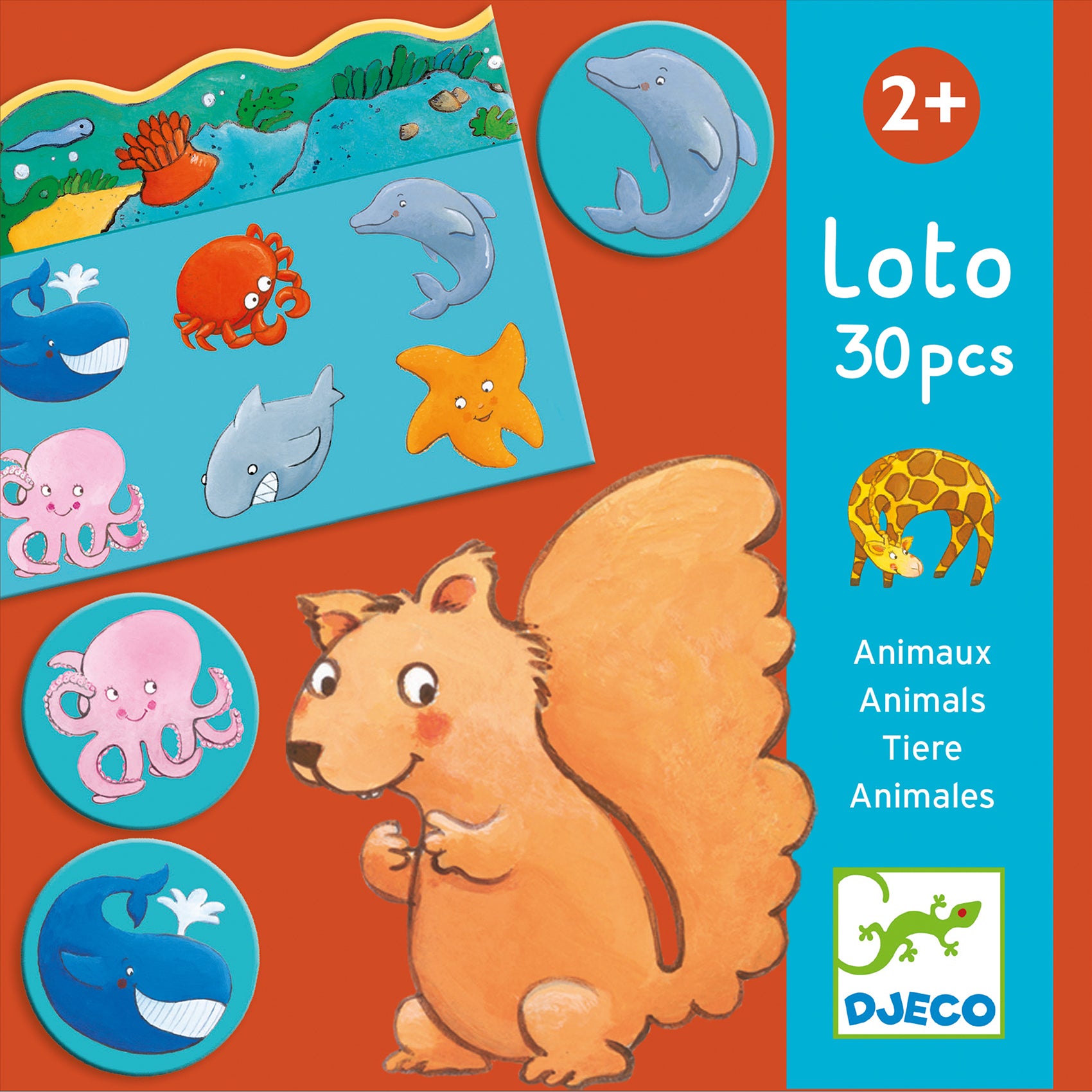 djeco bingospel dieren