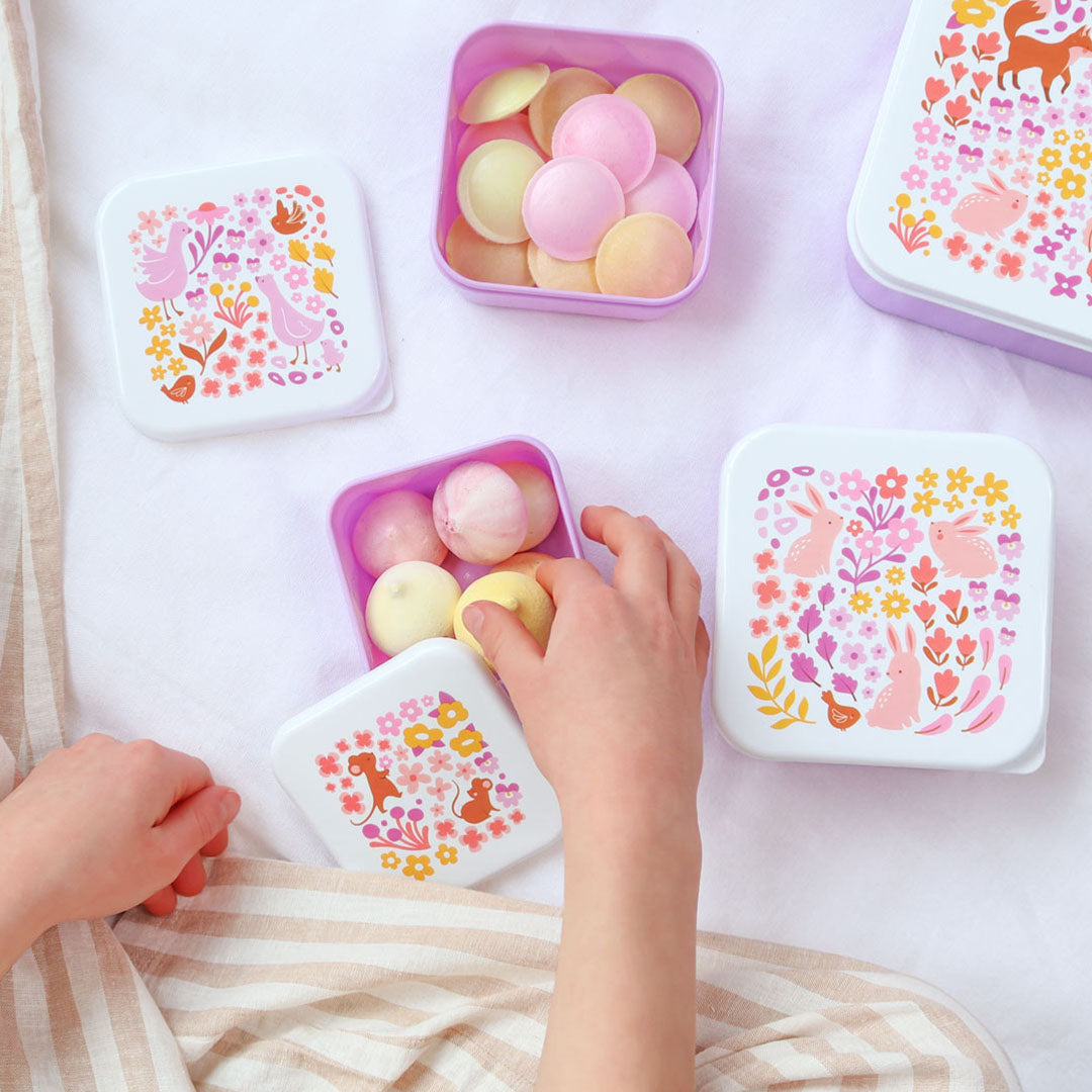 a little lovely company lunchbox set - bloementuin - 4st | SBSEFG83 | 1