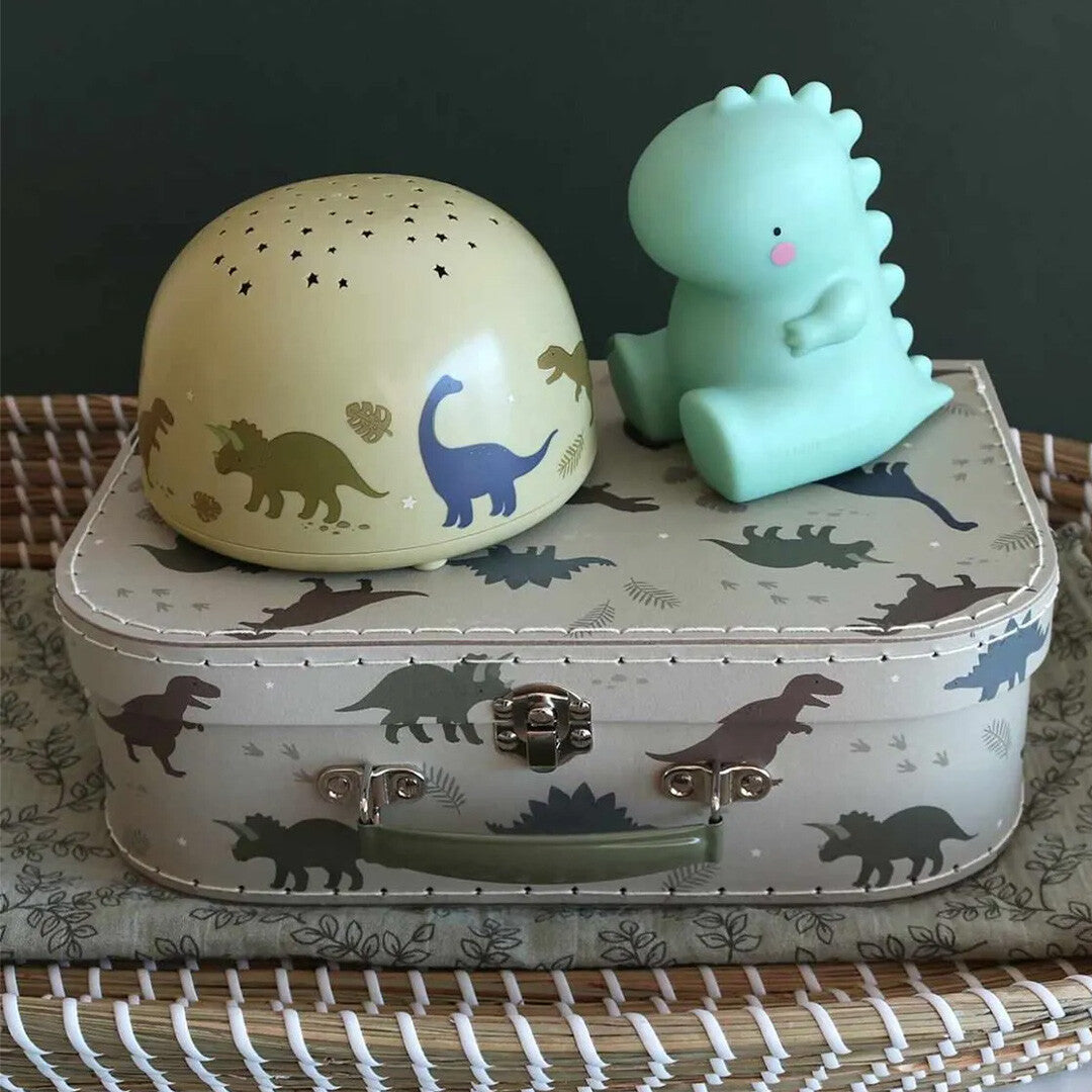 a little lovely company nachtlamp en sterprojector dinosaurussen | PLDRMC15 | 3