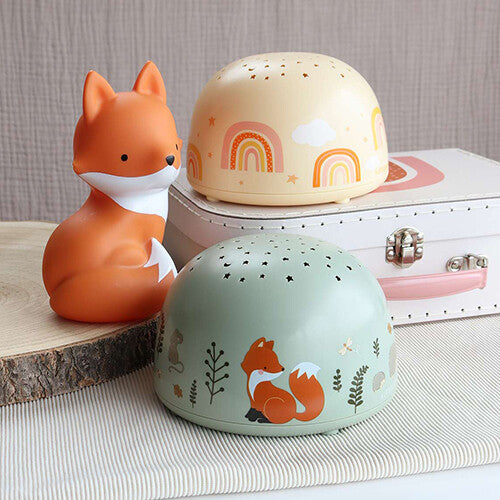 a little lovely company nachtlamp en sterprojector regenboog | PLRAMC09 | 1