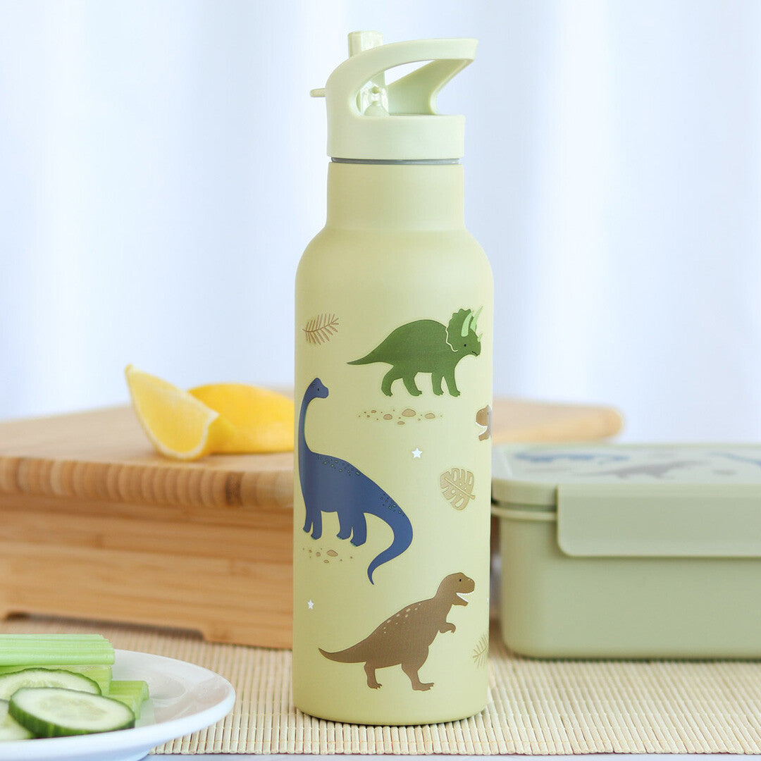 a little lovely company rvs drinkfles dinosaurus - 500ml | DBSXDI75 | 1