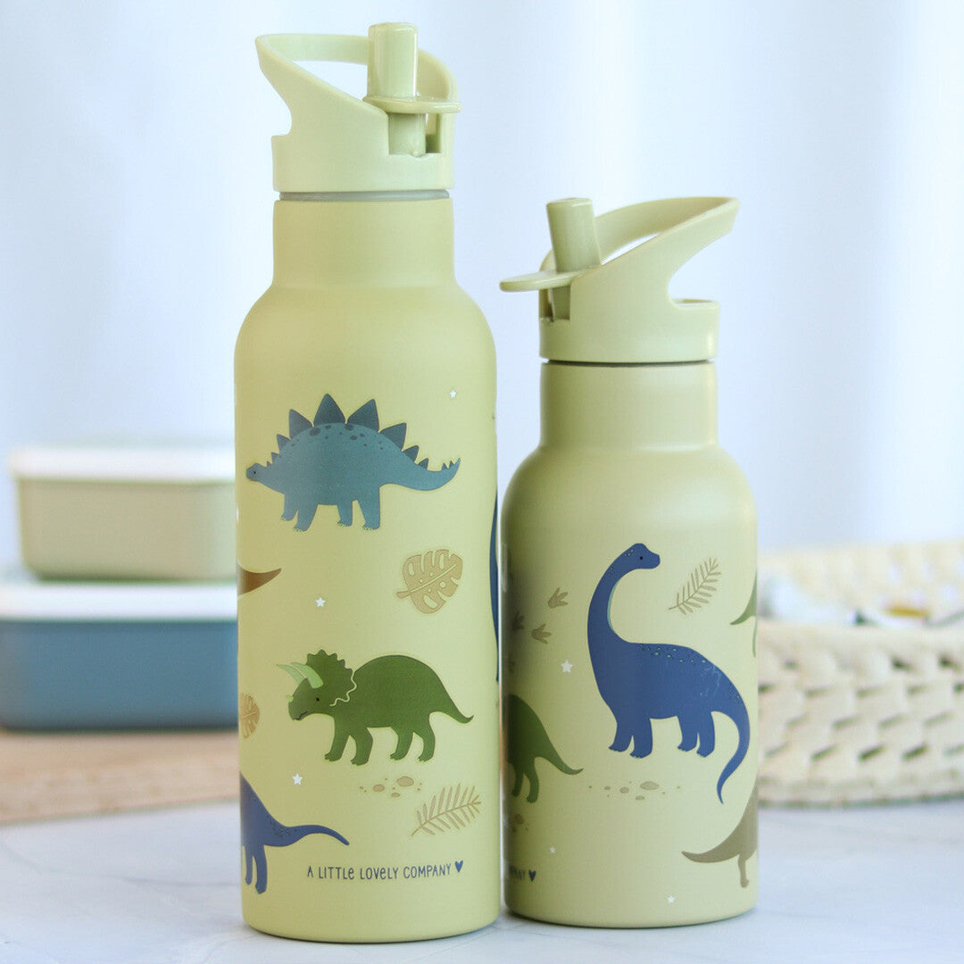a little lovely company rvs drinkfles dinosaurus - 500ml | DBSXDI75 | 2