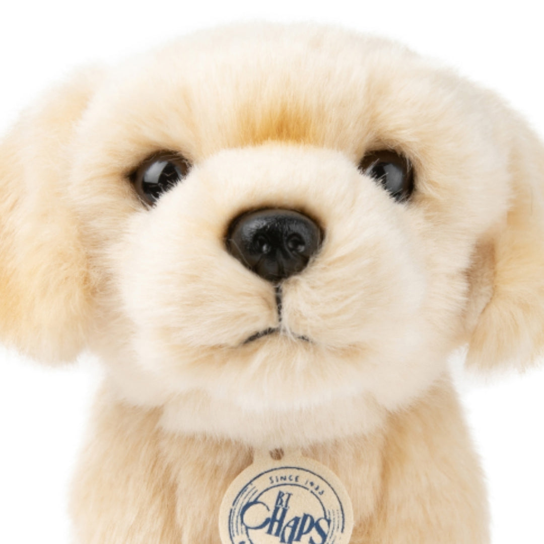b.t. chaps knuffelhond loulou the labrador - 20 cm | 32177002 | 1