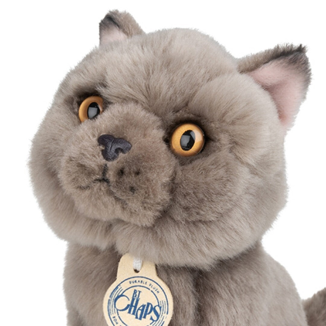 b.t. chaps knuffelpoes freddy the british shorthair - 17 cm   | 32.179.007 | 2