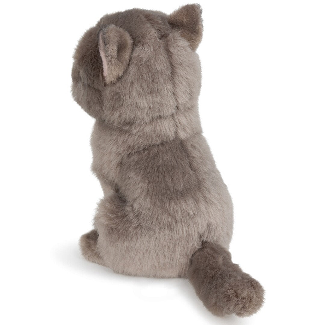 b.t. chaps knuffelpoes freddy the british shorthair - 17 cm   | 32.179.007 | 3