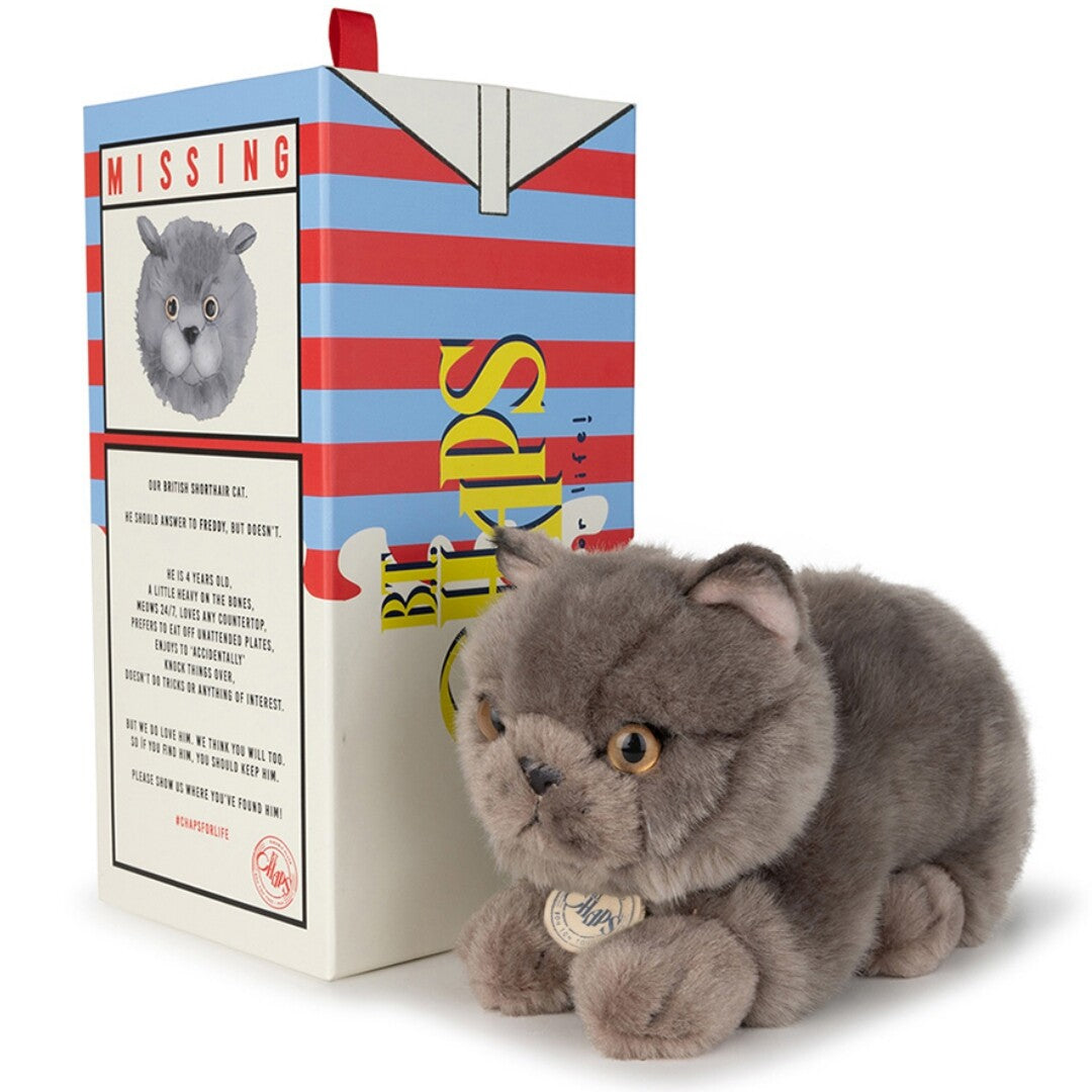 b.t. chaps knuffelpoes freddy the british shorthair - 20 cm    | 32179003 | 0