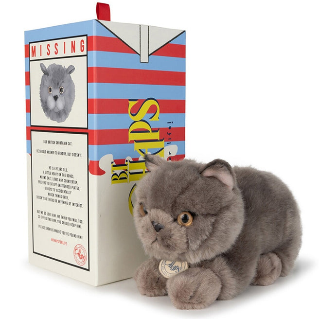 b.t. chaps knuffelpoes freddy the british shorthair - 20 cm    | 32179003 | 0