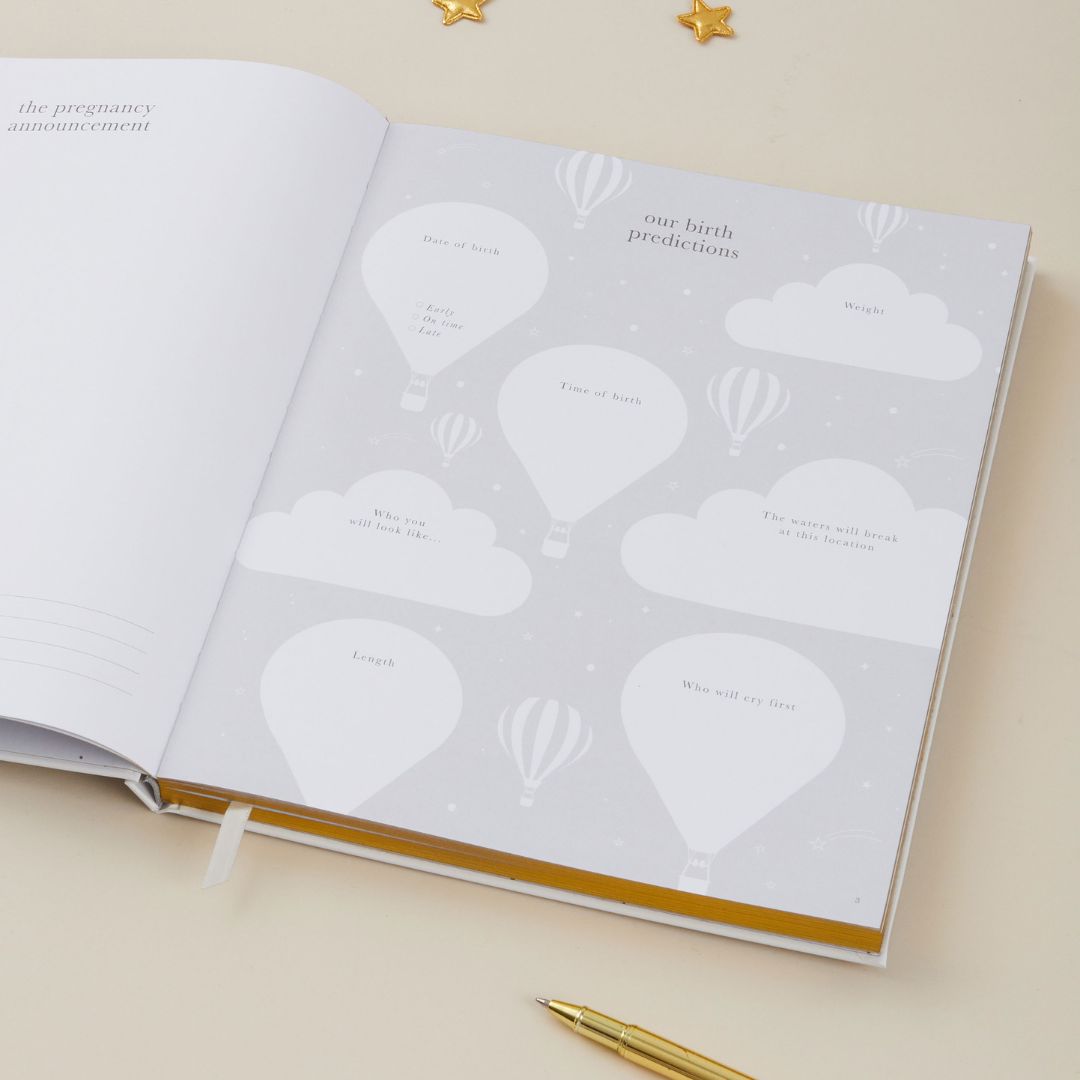 blush and gold invulboek my pregnancy journal - white | 1310 | 3