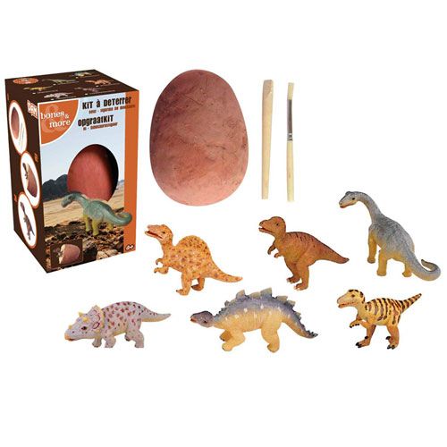 bones & more opgraafei dinosaurus - assorti | 6146556 | 2