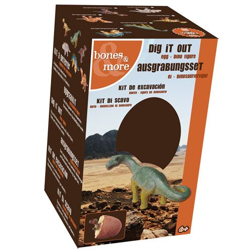 bones & more opgraafei dinosaurus - assorti | 6146556 | 4