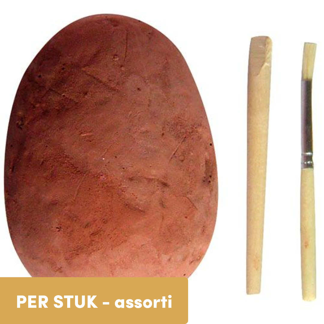 bones & more opgraafei dinosaurus - assorti | 6146556 | 0