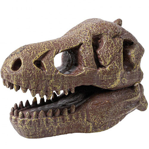 buki mega opgraafkit dinoschedel - t-rex | BU2130 | 2