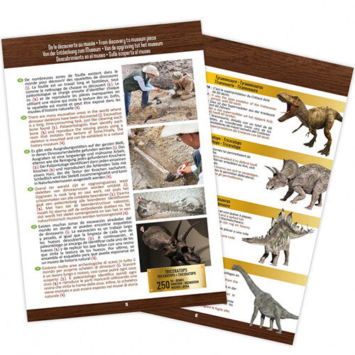 buki mega opgraafkit dinoschedel - t-rex | BU2130 | 5