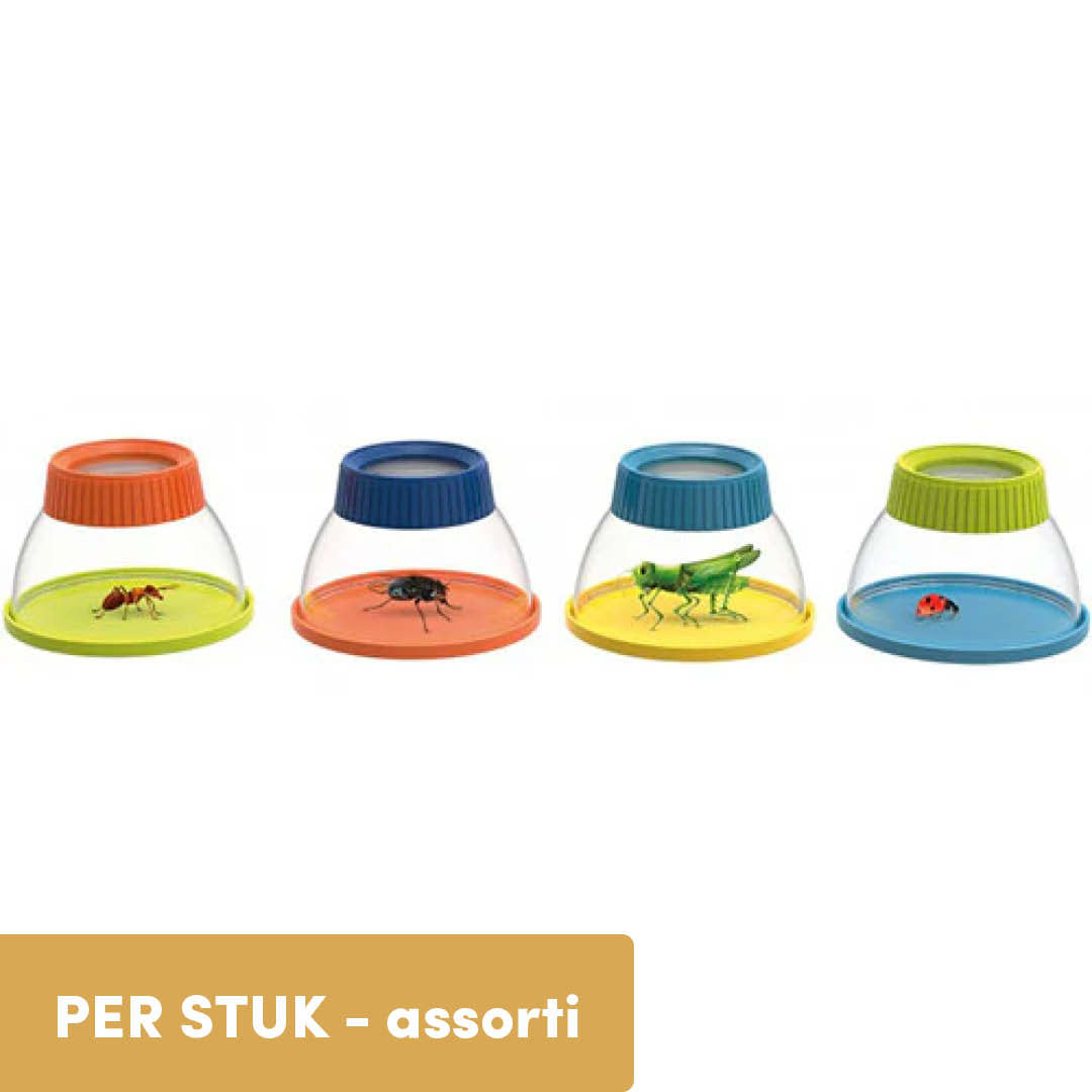 buki insectenloep - assorti | 509005 | 0