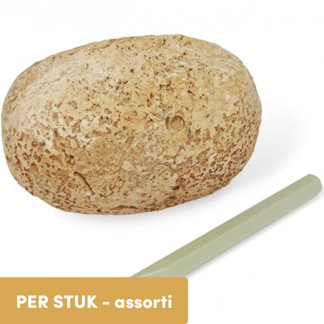 buki opgraafei dinosaurus - assorti | D6O | 0