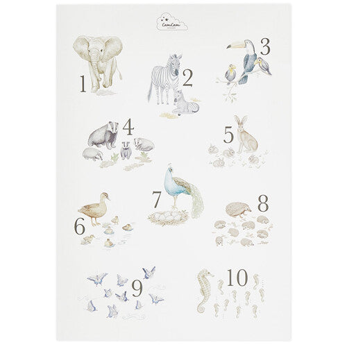 cam cam poster getallen | 1612-000 | 0