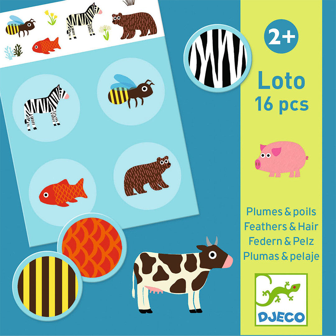 djeco bingo veren en vacht | DJ08191 | 4