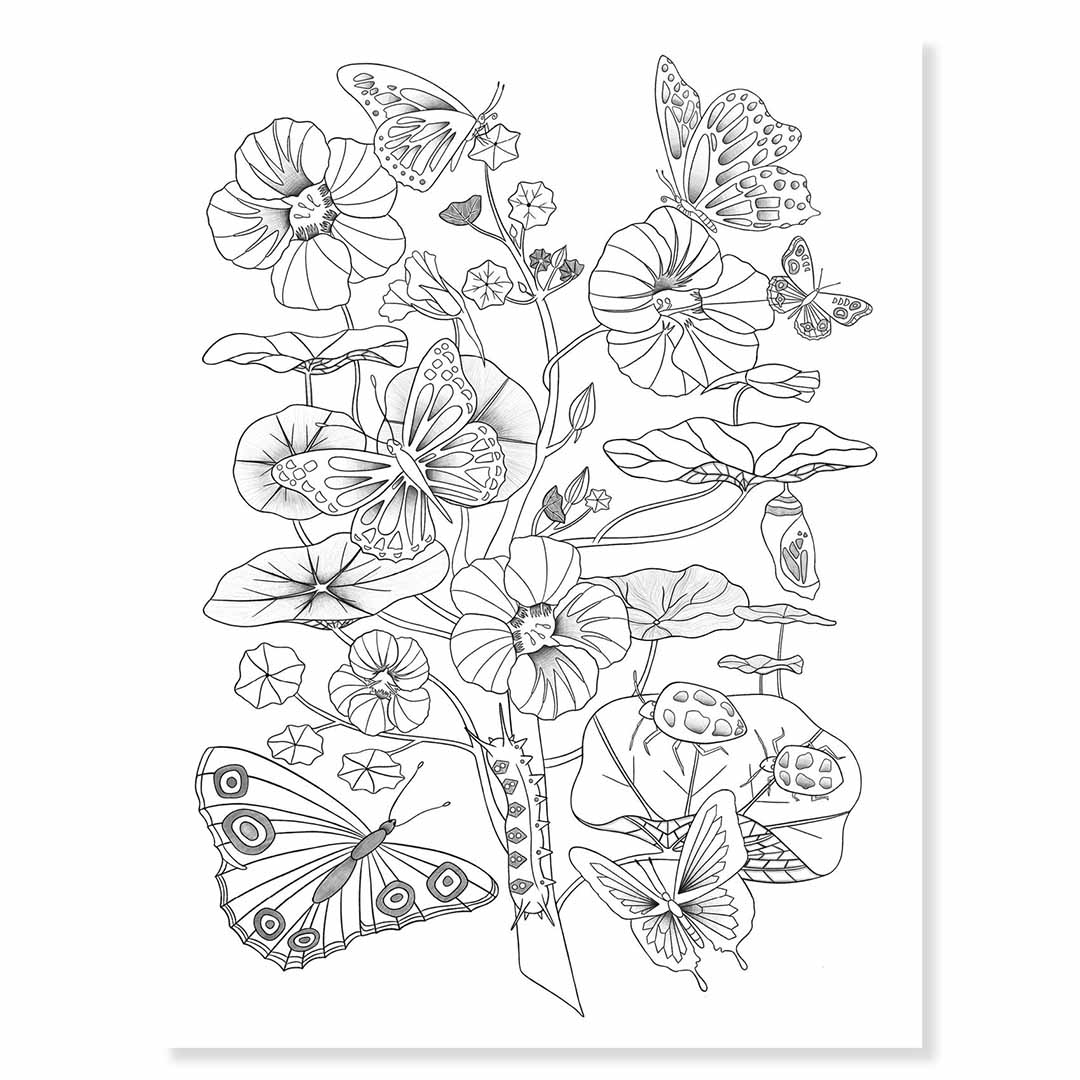 djeco kleurplaten in portfolio map - natuur - 3st | DJ08696 | 1