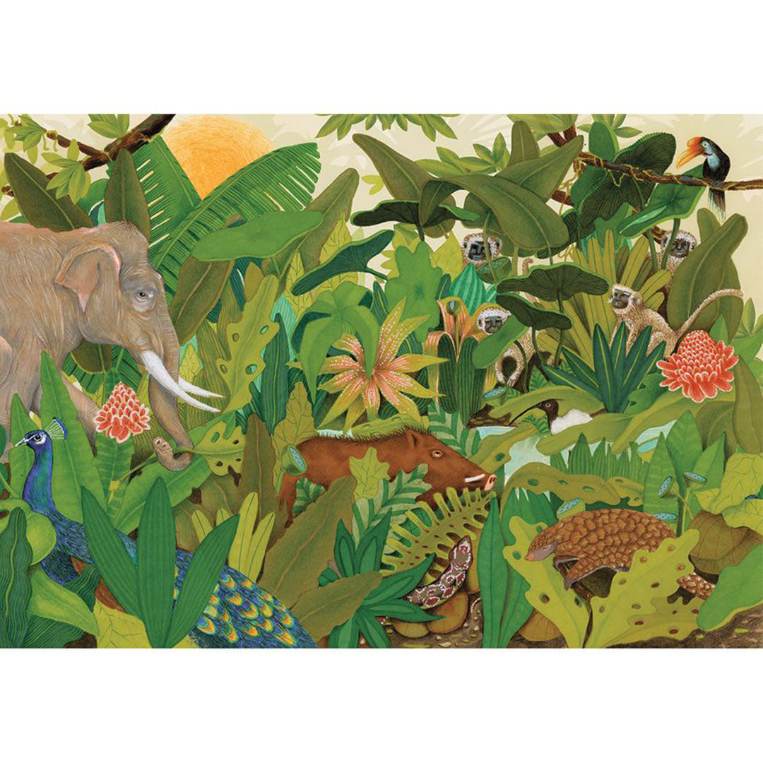 djeco puzzel hidden in nature - 1000st | DJ07692 | 4