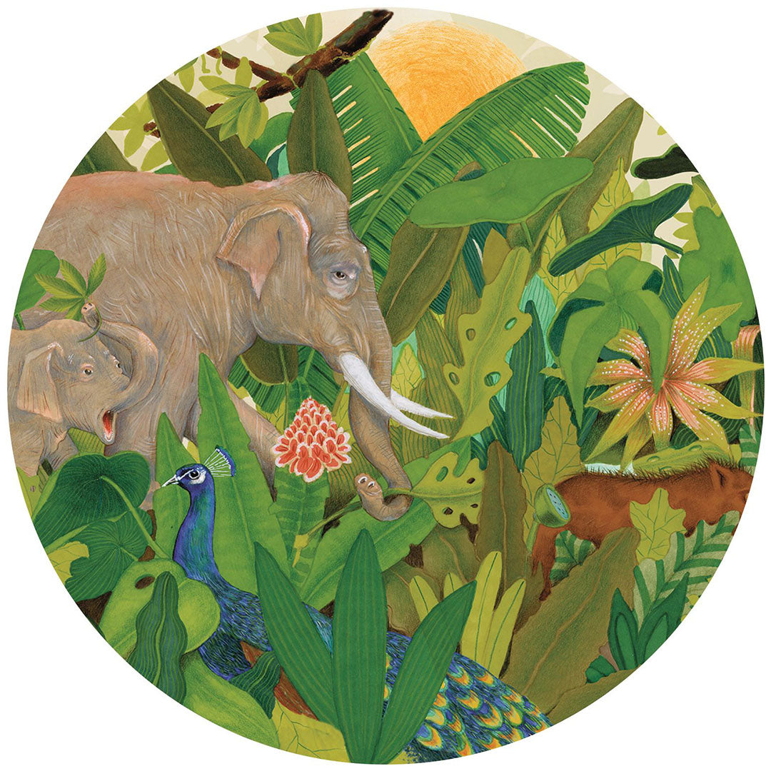 djeco puzzel hidden in nature - 1000st | DJ07692 | 2